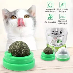 30878c26-04f0-47ba-a41c-fd40dfeec278.jpg Catnip Bola Tempel Mainan Untuk Kucing